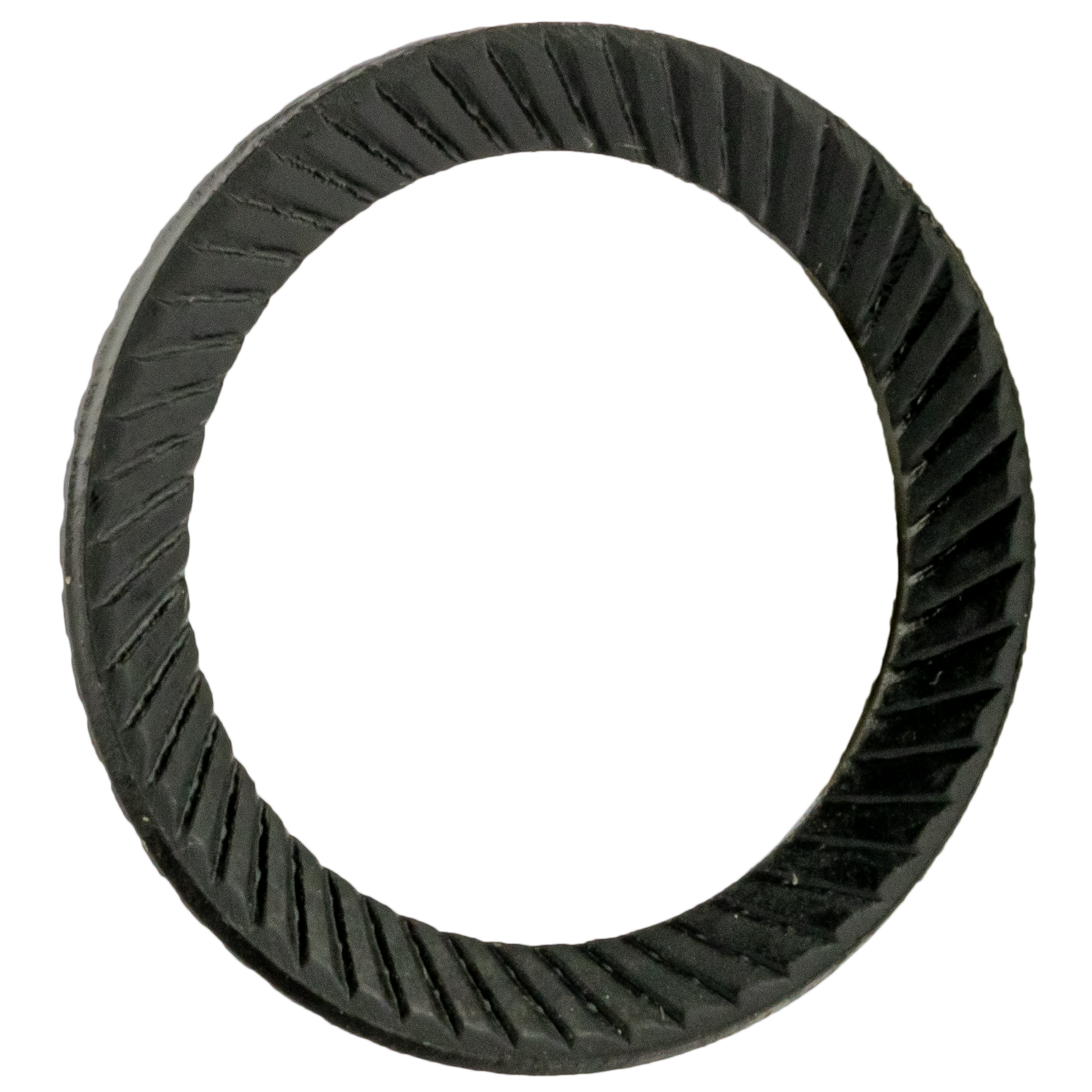 Washers - Metric - Ribbed Lock - M16